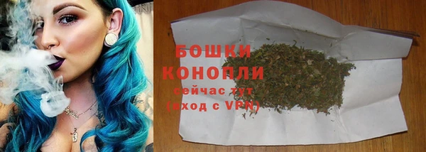 бошки Алексин