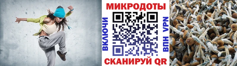 Псилоцибиновые грибы MAGIC MUSHROOMS Порхов